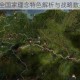 欧陆风云4全国家理念特色解析与战略数据整合手册