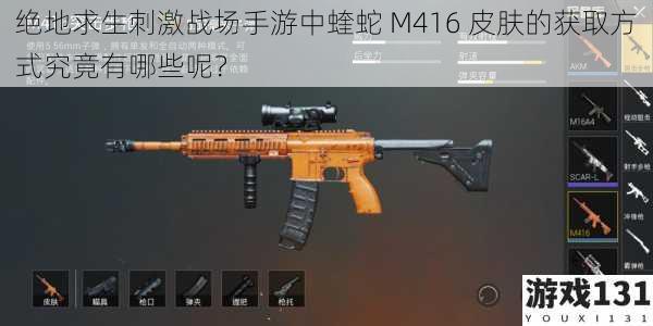 绝地求生刺激战场手游中蝰蛇 M416 皮肤的获取方式究竟有哪些呢？