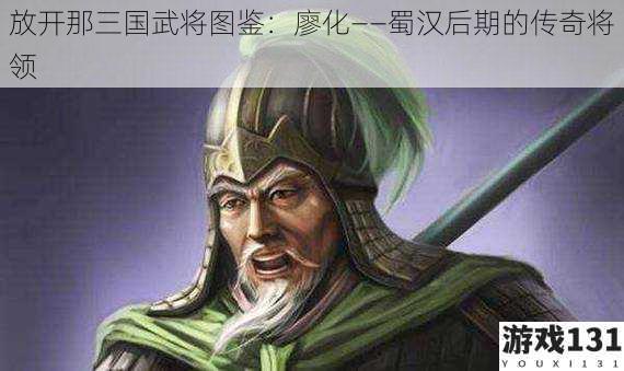 放开那三国武将图鉴：廖化——蜀汉后期的传奇将领