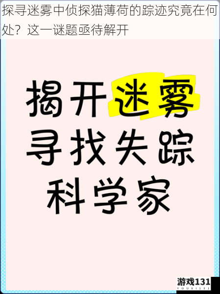 探寻迷雾中侦探猫薄荷的踪迹究竟在何处？这一谜题亟待解开