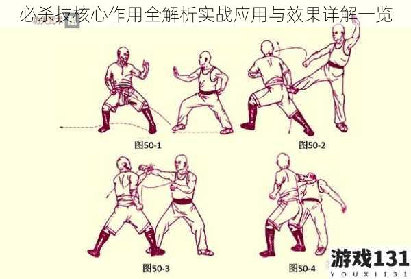 必杀技核心作用全解析实战应用与效果详解一览