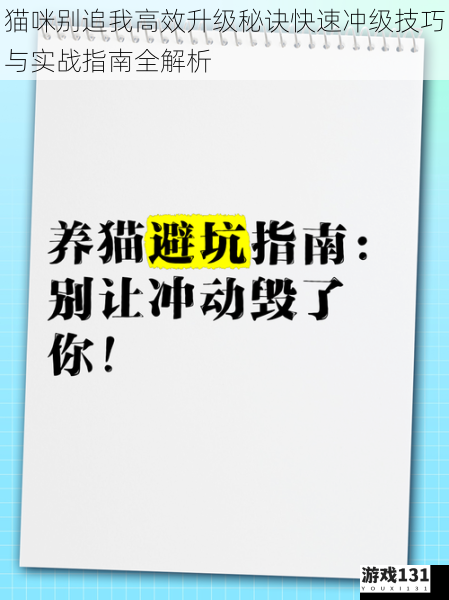 猫咪别追我高效升级秘诀快速冲级技巧与实战指南全解析