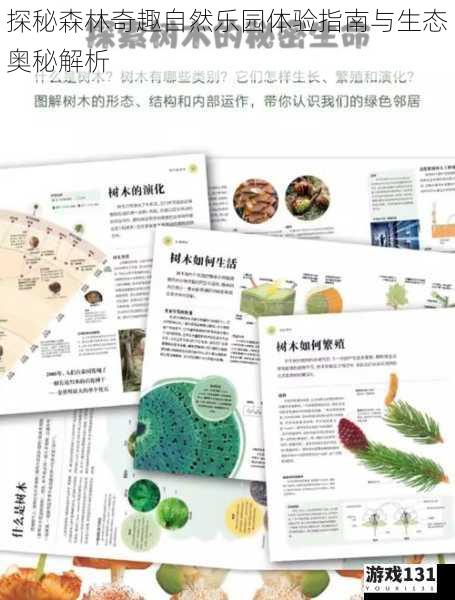 探秘森林奇趣自然乐园体验指南与生态奥秘解析