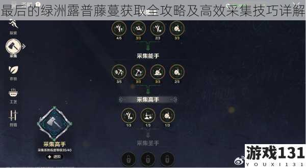 最后的绿洲露普藤蔓获取全攻略及高效采集技巧详解