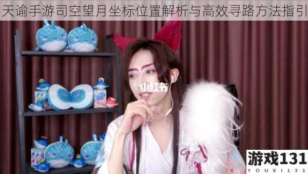 天谕手游司空望月坐标位置解析与高效寻路方法指引