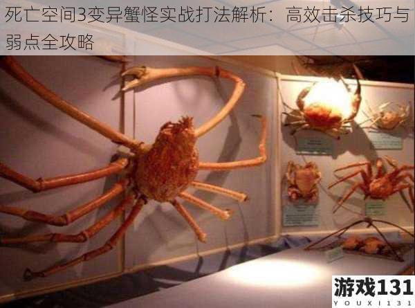 死亡空间3变异蟹怪实战打法解析：高效击杀技巧与弱点全攻略