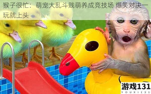 猴子很忙:萌宠大乱斗贱萌养成竞技场 爆笑对决一玩就上头