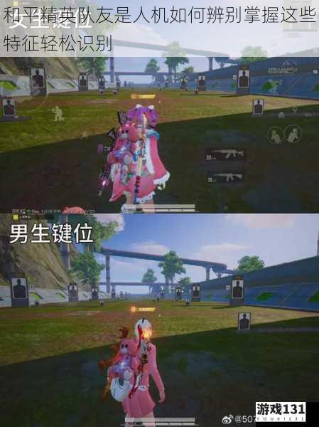 和平精英队友是人机如何辨别掌握这些特征轻松识别