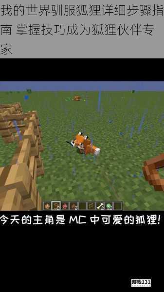 我的世界驯服狐狸详细步骤指南 掌握技巧成为狐狸伙伴专家