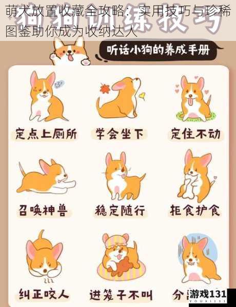 萌犬放置收藏全攻略:实用技巧与珍稀图鉴助你成为收纳达人