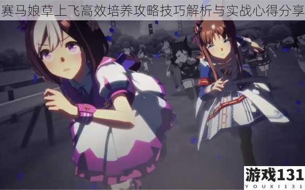 赛马娘草上飞高效培养攻略技巧解析与实战心得分享