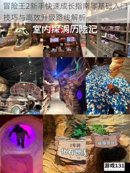 冒险王2新手快速成长指南零基础入门技巧与高效升级路线解析