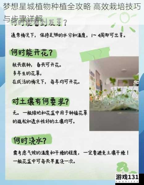 梦想星城植物种植全攻略 高效栽培技巧与步骤详解