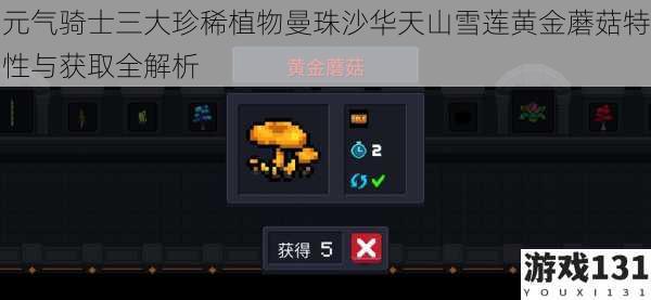元气骑士三大珍稀植物曼珠沙华天山雪莲黄金蘑菇特性与获取全解析