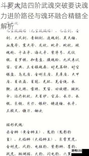 斗罗大陆四阶武魂突破要诀魂力进阶路径与魂环融合精髓全解析