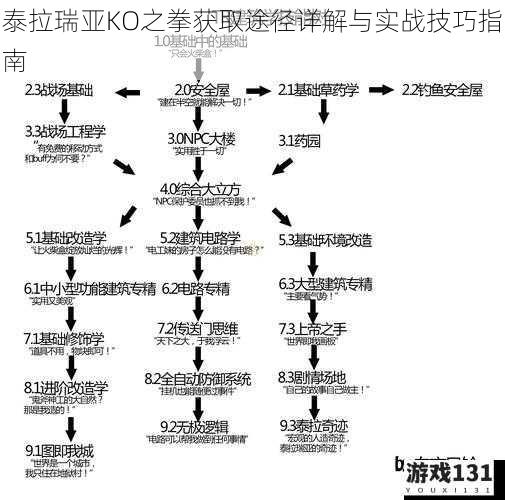 泰拉瑞亚KO之拳获取途径详解与实战技巧指南