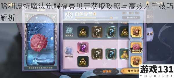 哈利波特魔法觉醒福灵贝壳获取攻略与高效入手技巧解析