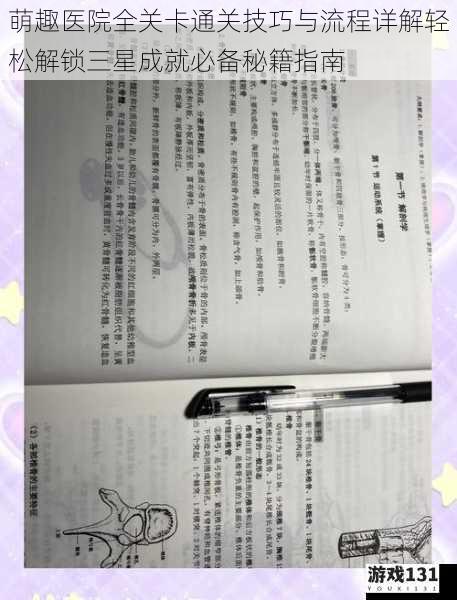 萌趣医院全关卡通关技巧与流程详解轻松解锁三星成就必备秘籍指南