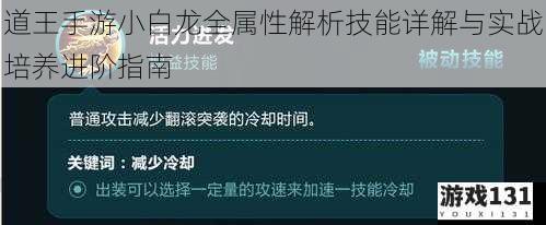 道王手游小白龙全属性解析技能详解与实战培养进阶指南