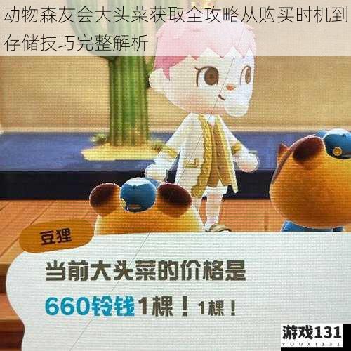 动物森友会大头菜获取全攻略从购买时机到存储技巧完整解析
