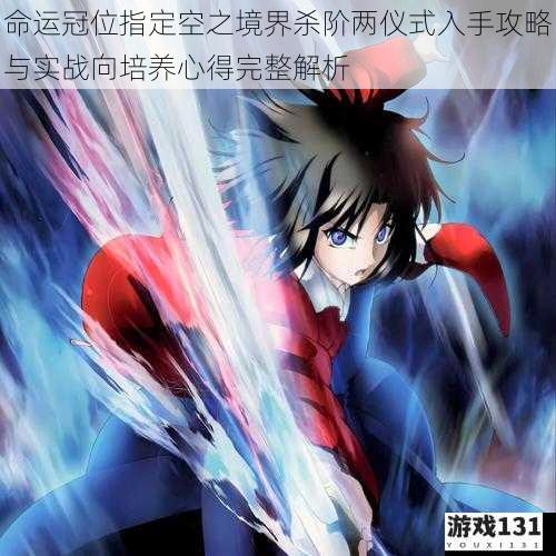命运冠位指定空之境界杀阶两仪式入手攻略与实战向培养心得完整解析